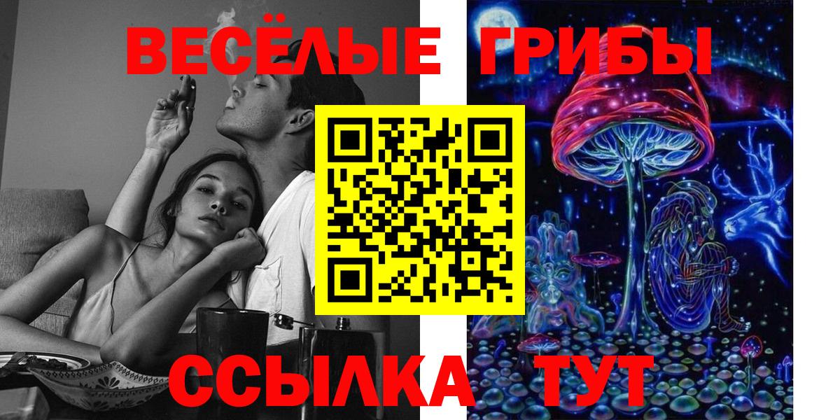 Прохладный  Галлюциногенные грибы Magic Shrooms  Вход с VPN 